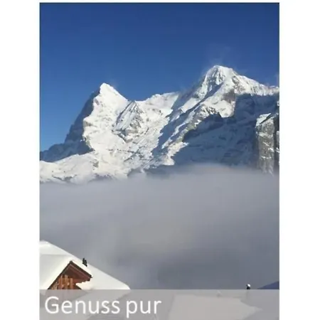 Panorama 2 Bett Murren