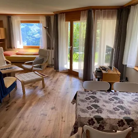 Panorama 2 Bett Apartman Mürren